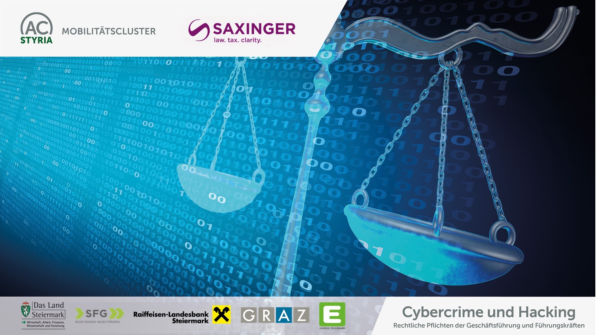 BF_Cybercrime&Hacking_Saxinger