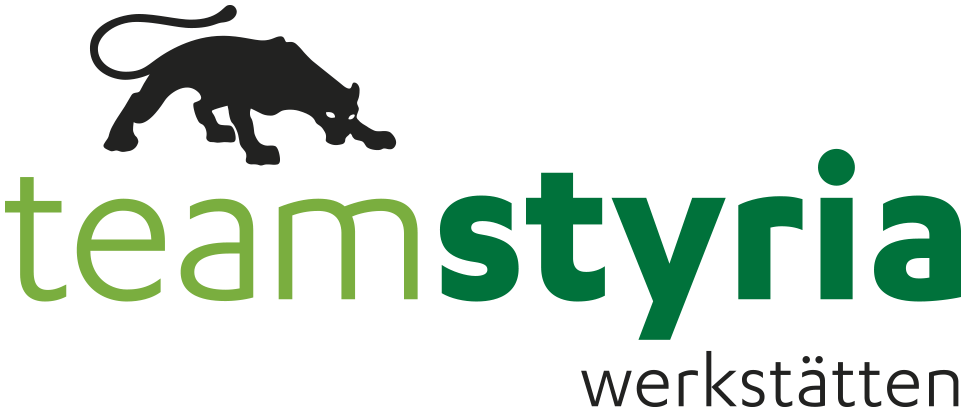 teamstyria_logo_color_rgb